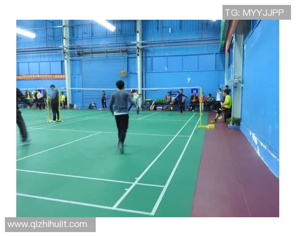 赛后分析:北京羽毛球队与成都羽毛球队的实力对决与战术较量